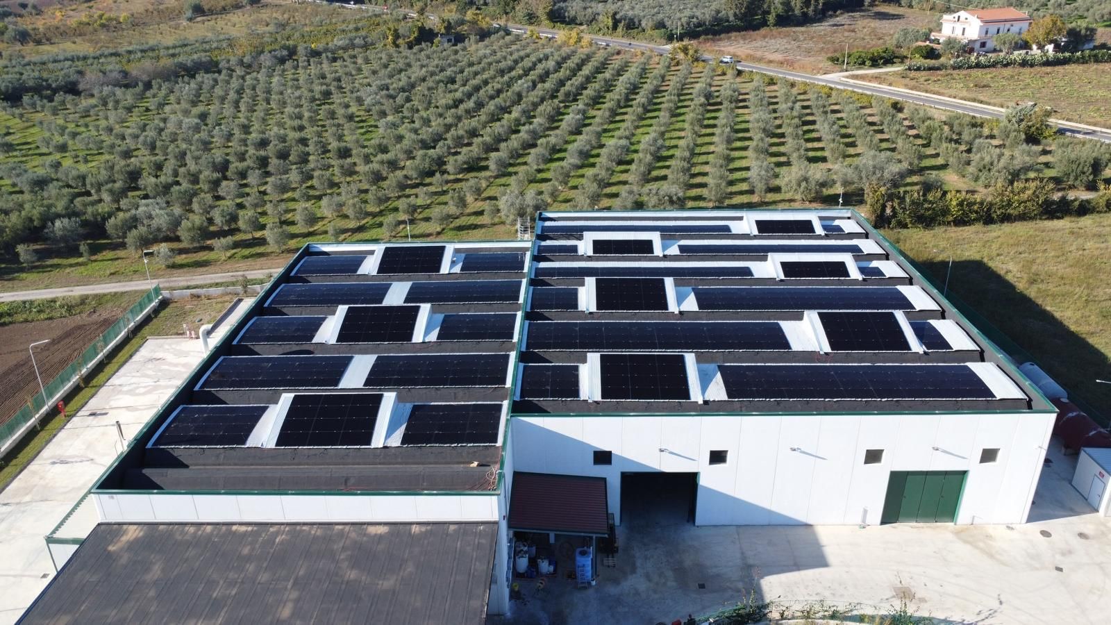 Capannone della piattaforma Ecosumma con il tetto coperto di pannelli fotovoltaici, tra gli uliveti di Francolise